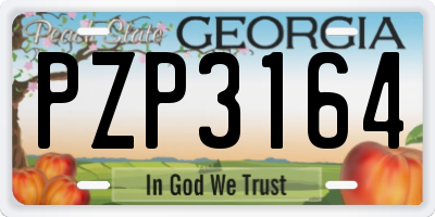 GA license plate PZP3164