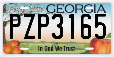 GA license plate PZP3165