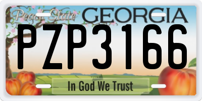 GA license plate PZP3166