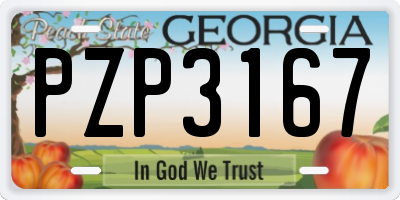 GA license plate PZP3167