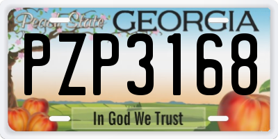 GA license plate PZP3168