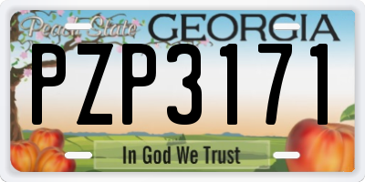 GA license plate PZP3171