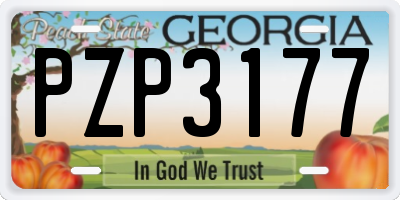 GA license plate PZP3177