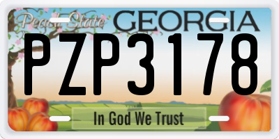 GA license plate PZP3178
