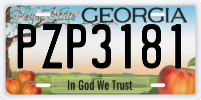 GA license plate PZP3181
