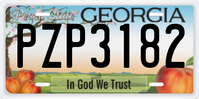 GA license plate PZP3182