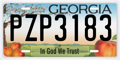 GA license plate PZP3183