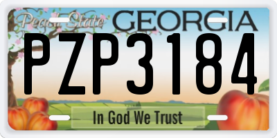 GA license plate PZP3184