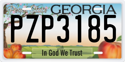 GA license plate PZP3185