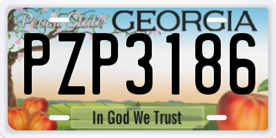 GA license plate PZP3186
