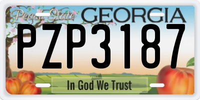 GA license plate PZP3187