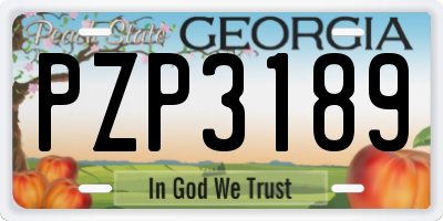 GA license plate PZP3189