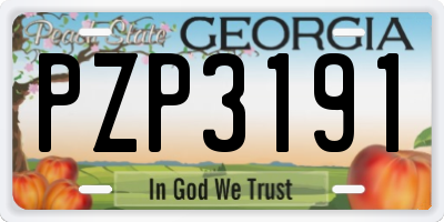 GA license plate PZP3191