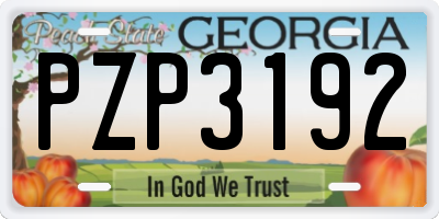 GA license plate PZP3192