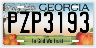 GA license plate PZP3193
