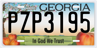 GA license plate PZP3195