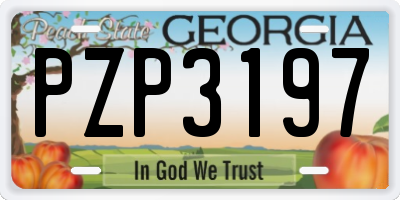 GA license plate PZP3197