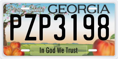 GA license plate PZP3198