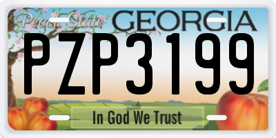 GA license plate PZP3199