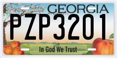 GA license plate PZP3201