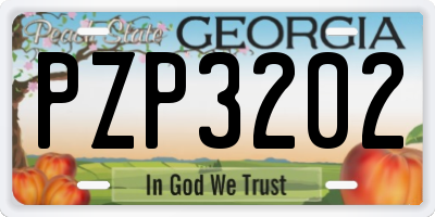 GA license plate PZP3202
