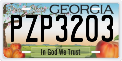 GA license plate PZP3203