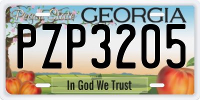 GA license plate PZP3205