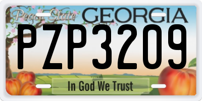 GA license plate PZP3209
