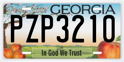 GA license plate PZP3210