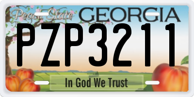 GA license plate PZP3211