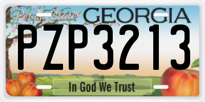 GA license plate PZP3213