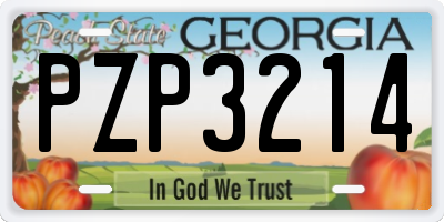 GA license plate PZP3214