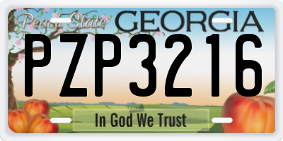 GA license plate PZP3216