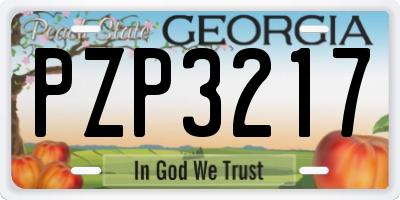 GA license plate PZP3217