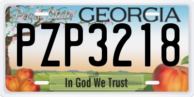 GA license plate PZP3218