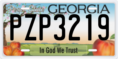 GA license plate PZP3219