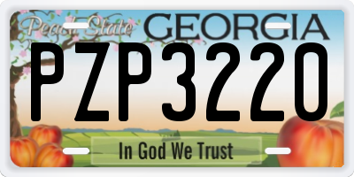GA license plate PZP3220