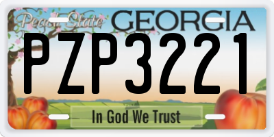 GA license plate PZP3221