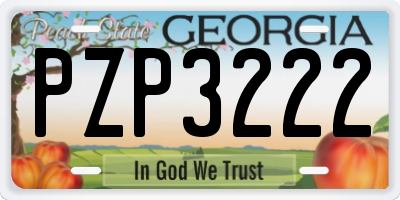 GA license plate PZP3222