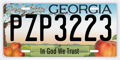 GA license plate PZP3223