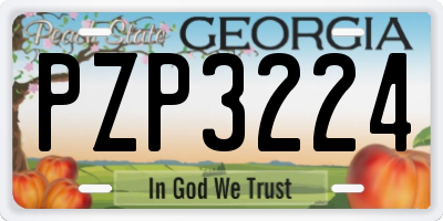 GA license plate PZP3224