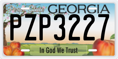 GA license plate PZP3227
