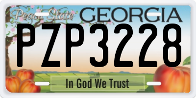 GA license plate PZP3228