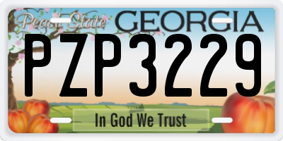 GA license plate PZP3229