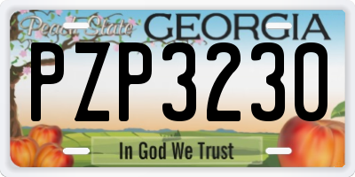 GA license plate PZP3230