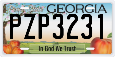 GA license plate PZP3231