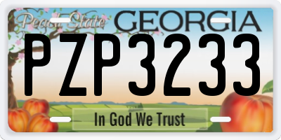 GA license plate PZP3233