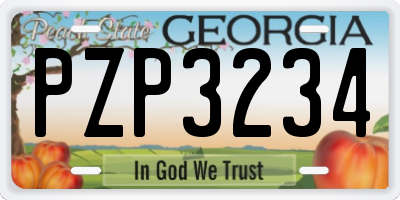 GA license plate PZP3234