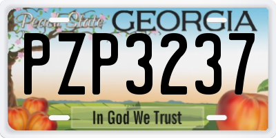 GA license plate PZP3237
