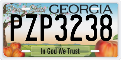 GA license plate PZP3238